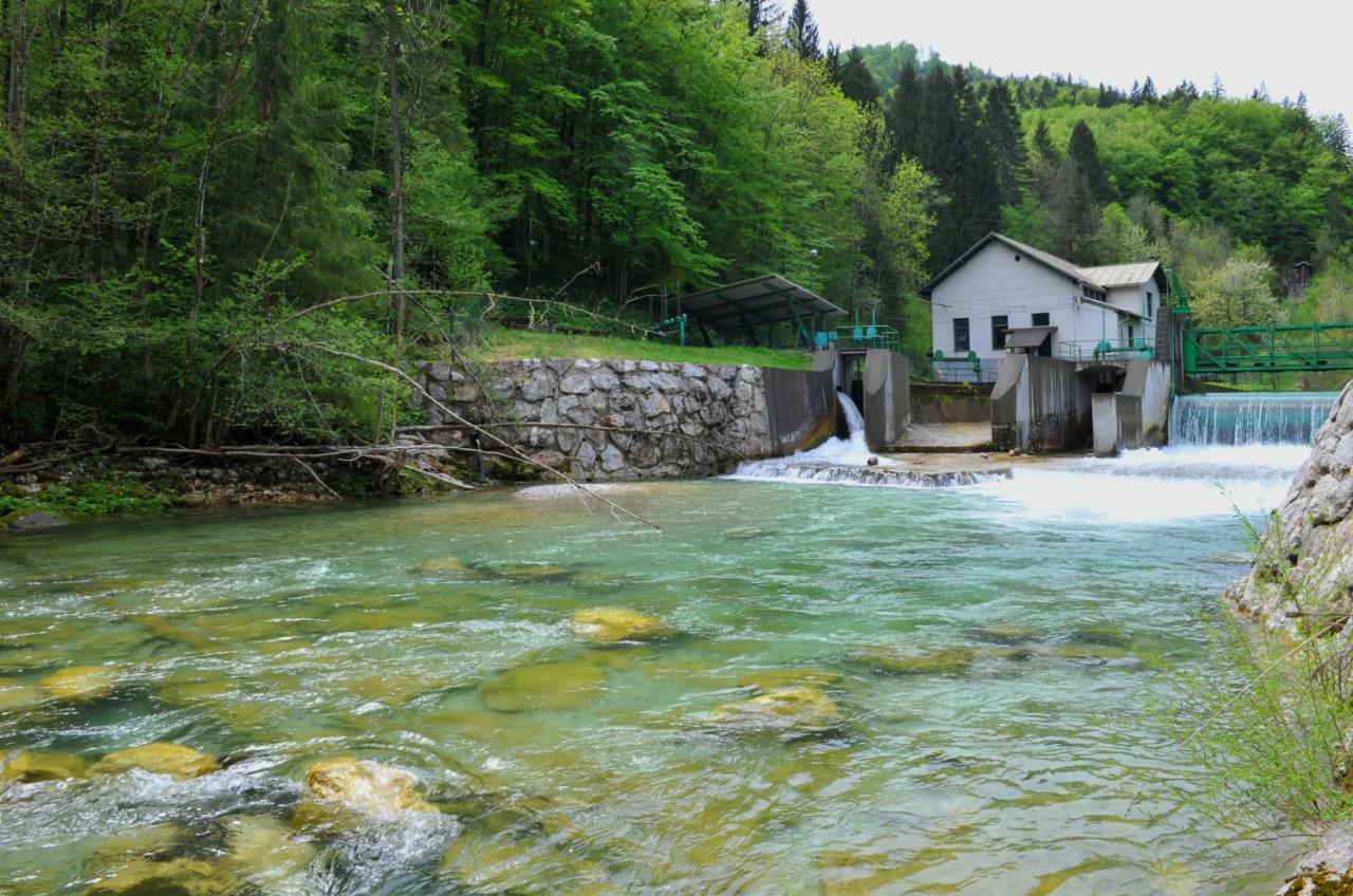 Apartma Marjetica Ii. Blejska Dobrava Kültér fotó